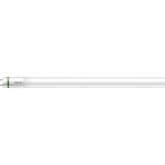 Philips MASTER LED Tube T8 (EM/Direct 230V) Ultra Efficiency 17.6W 3700lm - 865 Lumière Du Jour | 150cm - Équivalent 58W